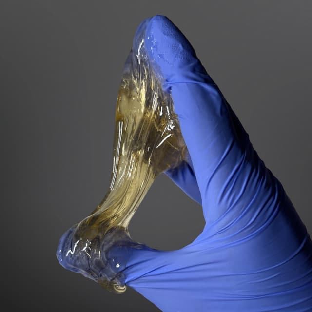 Sugar Status at Stellar Sugar LLC in Sierra Vista, AZ